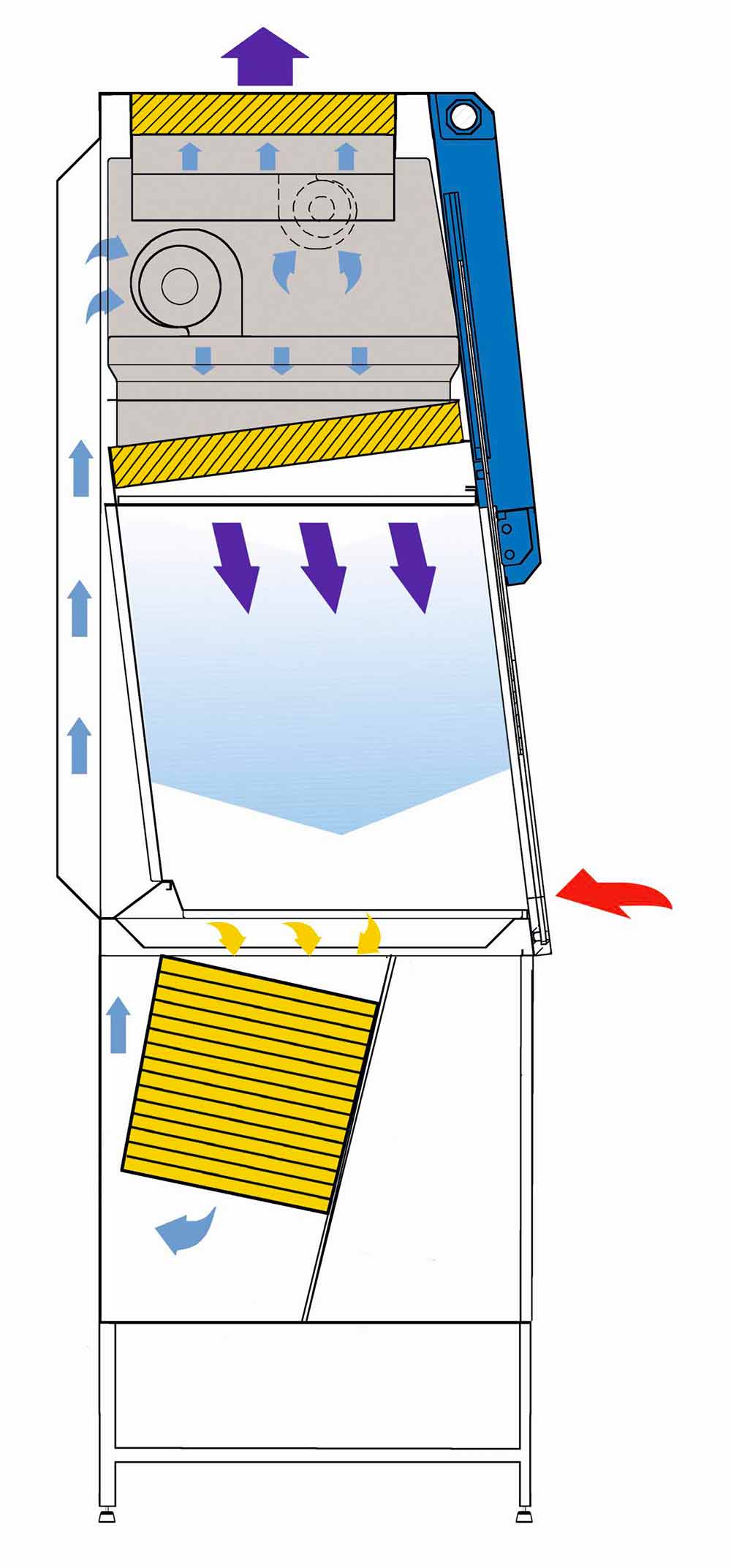 CytoFastELite